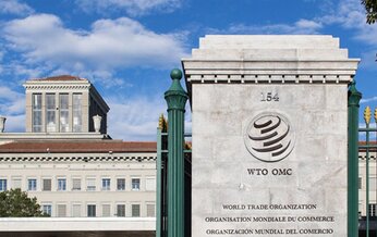 Lithuania contributes EUR 30,000 to the WTO Global Trust Fund to strengthen trade capacities of...